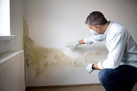 Best Mold Damage Restoration  in Washington, IA